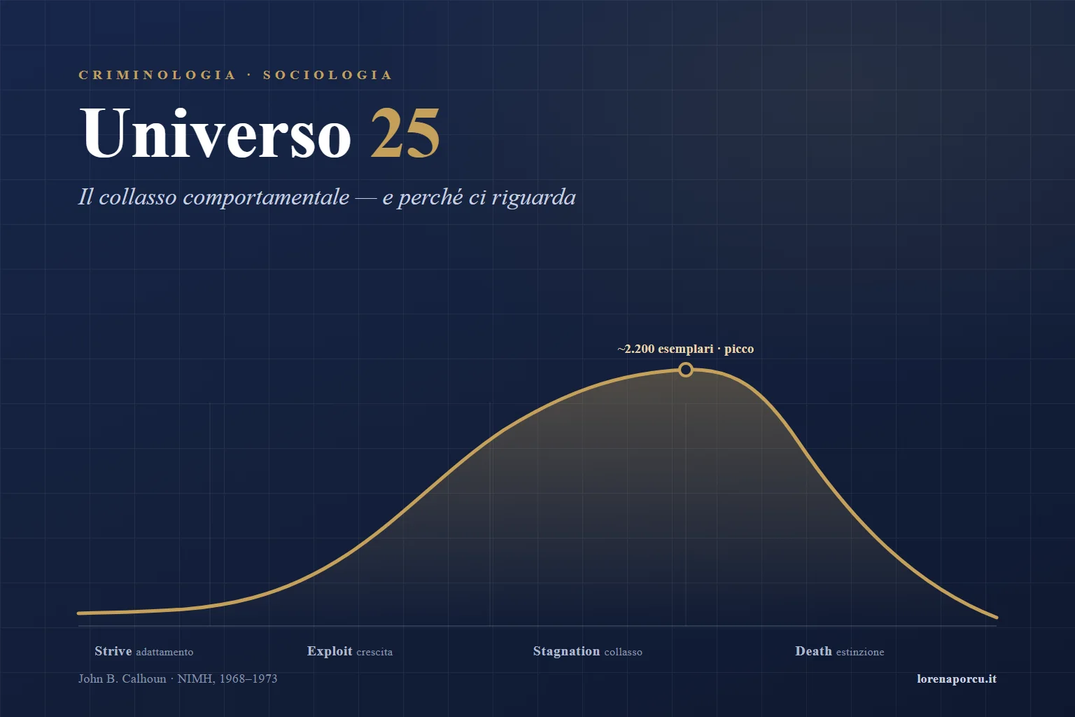 La curva di crescita e collasso della popolazione nell'esperimento Universo 25 di John Calhoun, con le quattro fasi: adattamento, crescita esponenziale, stagnazione e declino fino all'estinzione.