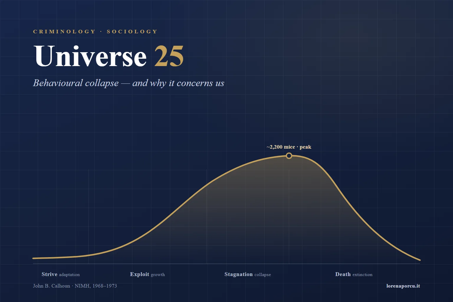 The population growth and collapse curve of John Calhoun's Universe 25 experiment, showing the four phases: adaptation, exponential growth, stagnation, and decline to extinction.
